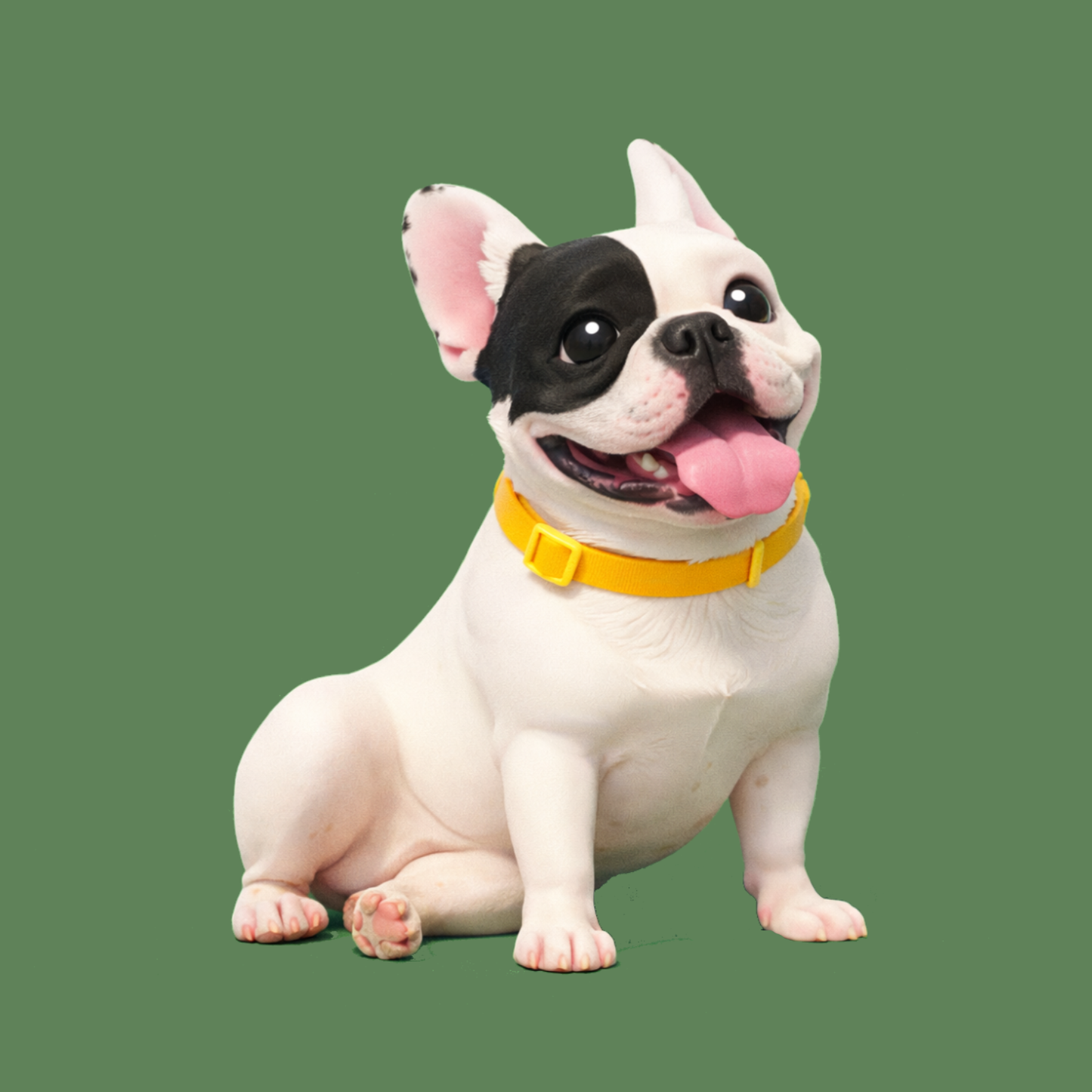 BULLDOG FRANCES