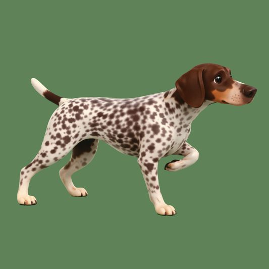 POINTER